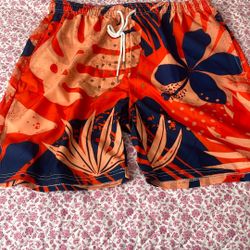 Men’s Swim Shorts