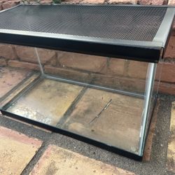 10 gallon aquarium with reptilian top