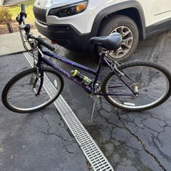 Raleigh 7-Speed Women’s Bike