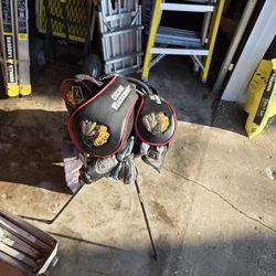 Taylor Made Coplete Gold Clubs And Bag