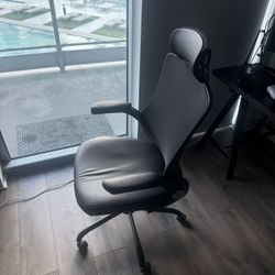 Gaming/Office chair
