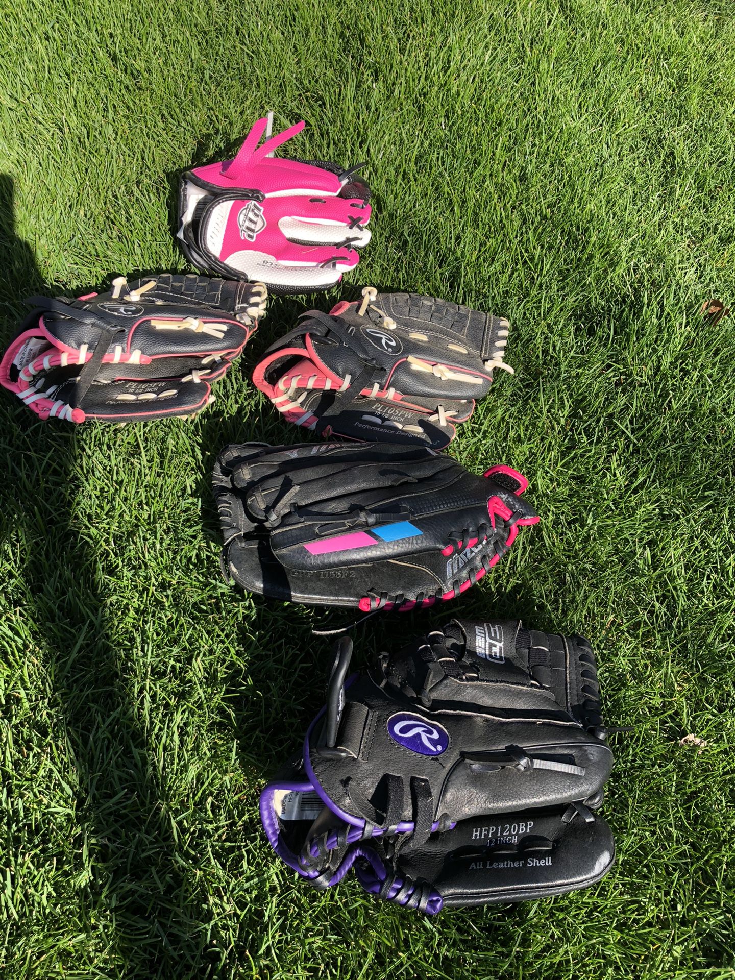 Softball gloves (various sizes)