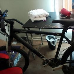 24 Inch Colorado Mountain Bike