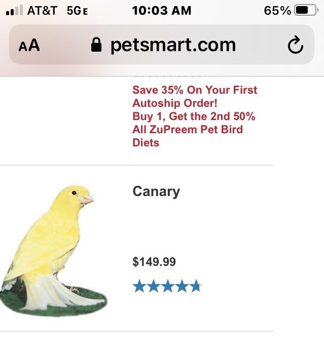 Petsmart canary cheap