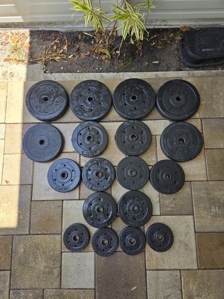 155 Pounds/Lbs 1 Inch Disks