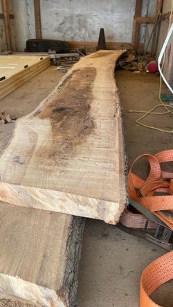 Red Oak And White Oak 