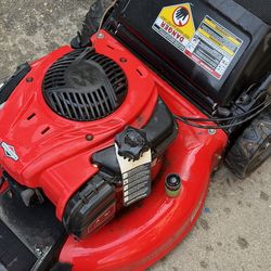 Garden lawnmower/weeder