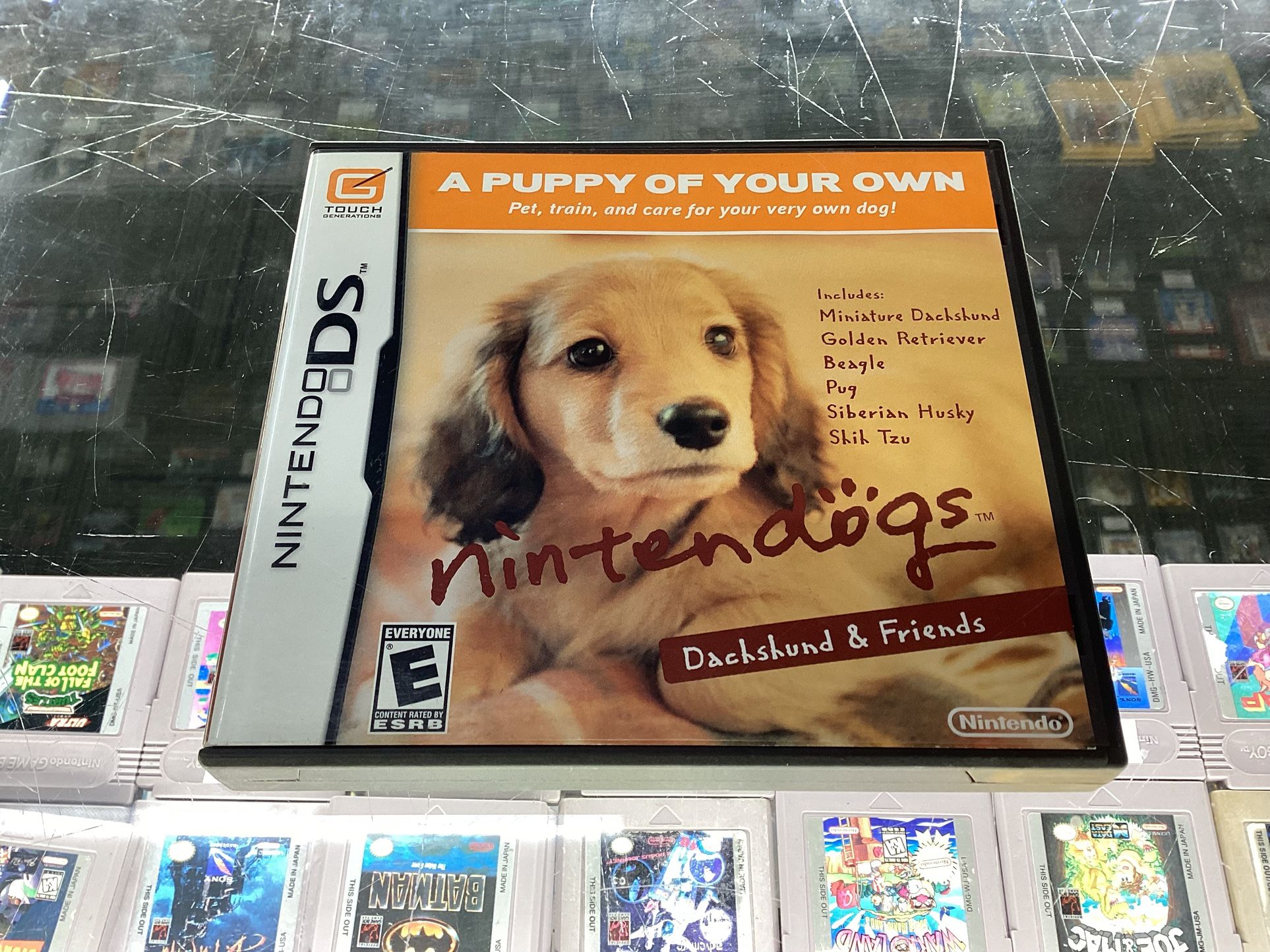 Nintendogs: Dachshund & Friends