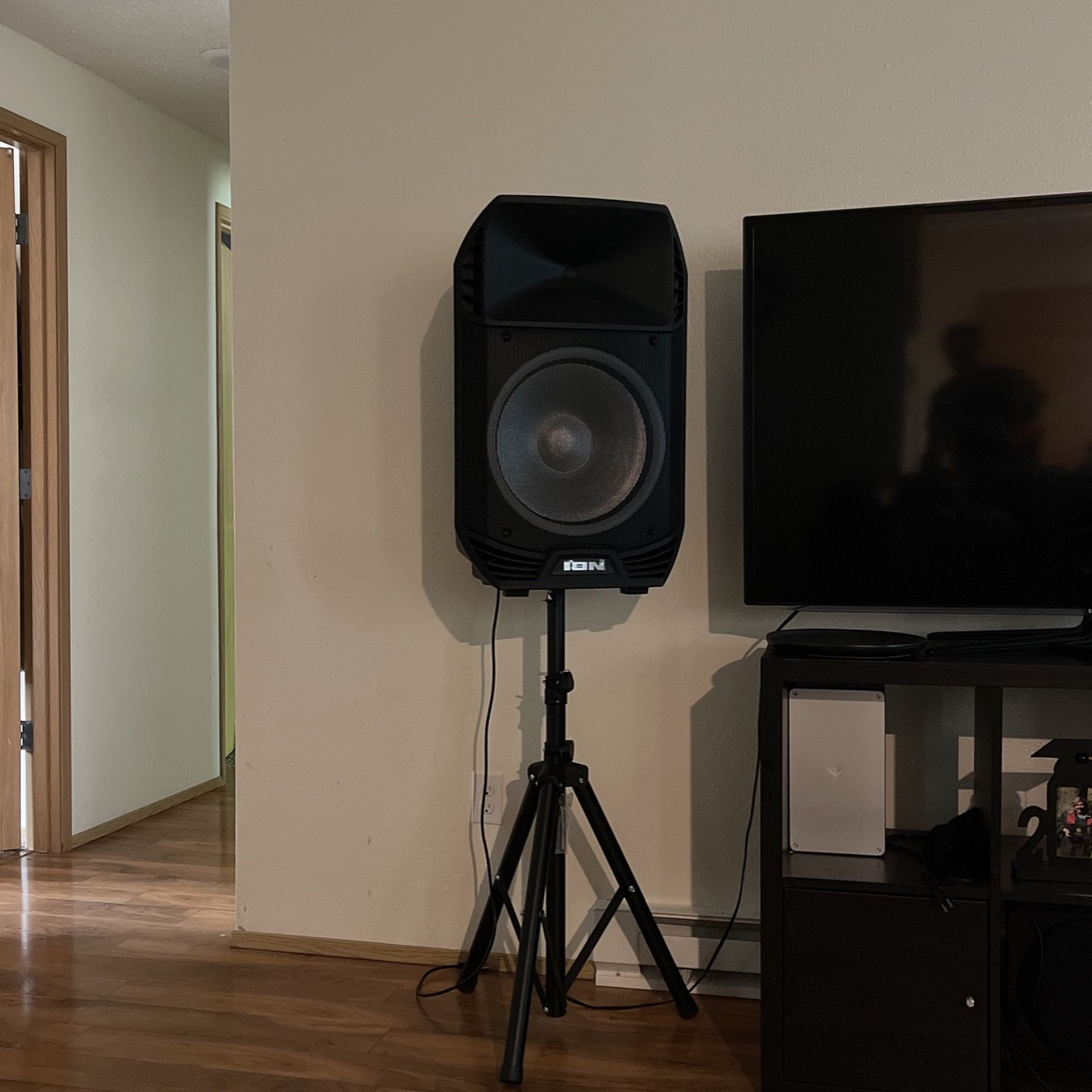 DJ Speaker 