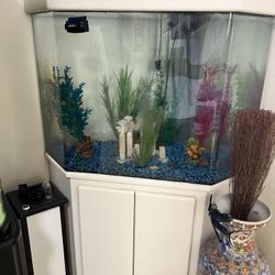 65 Gallon Corner Glass Aquarium With Stand And Canopy