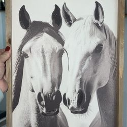 Medium Horse Frame Modern Decor