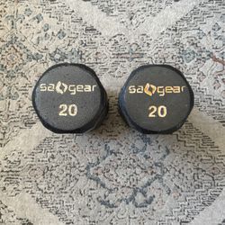 20 lb Set of Dumbbells – Solid Cast Iron (Pair)