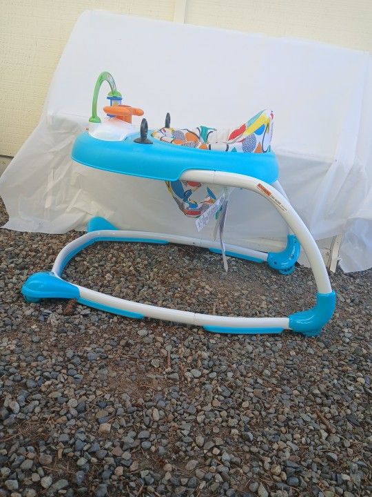 Babu Einstain Walker