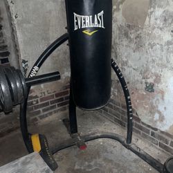 Everlast Punching Bag 