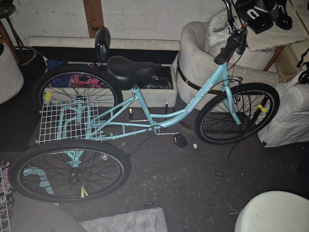Bike With A Back Where You Can Put Stuff