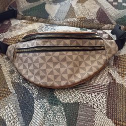 Purse Fanny Pack 