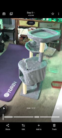 Cat Condo