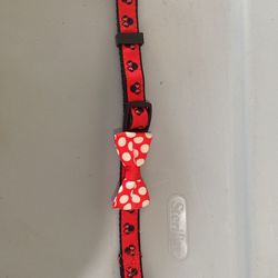 Extra Small, Disney's Minnie Mouse Dog Collar