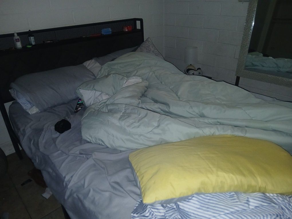Bed