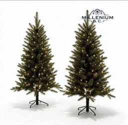 Grand Duchess Twinkling Balsam Fir LED Pre-Lit Artificial Trees G4 2-pk, 3 Feet