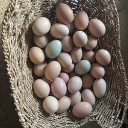 Fresh Farm Eggs 