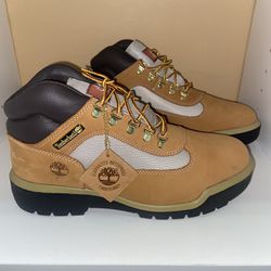 Timberland Field Boot 6” Waterproof 