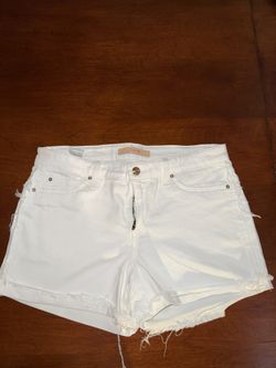 Joes Shorts 