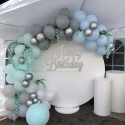 Backdrop Decoration/ Party/ Party Decoration/ Balloon Garland/ Decorations 