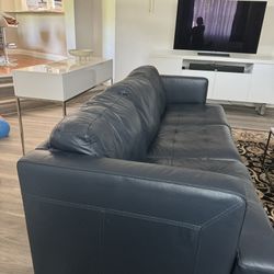 Modern  Couch 