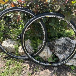 Mavic Aksium Road Bike Rim Brake Wheelset 700c Black 