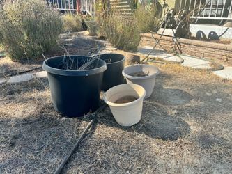 Bundle of large plastic planters
