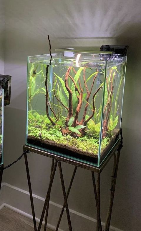 Modern 8 Gallon Tank 