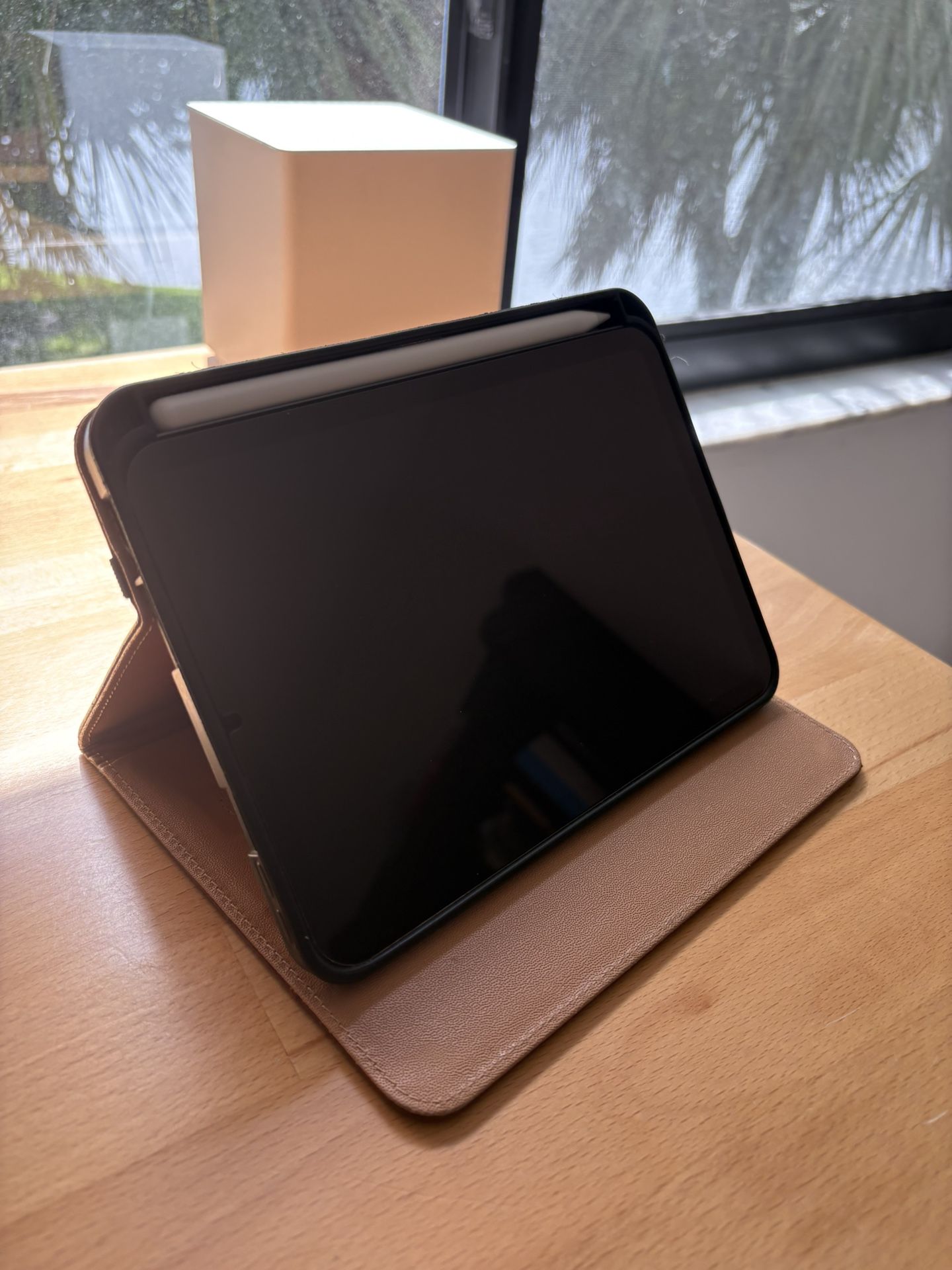 iPad Mini 6 64gb Apple Pencil Case And Screen Protector