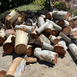 Quality Oak And Eucalyptus Firewood 