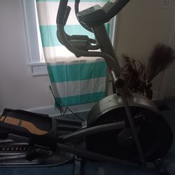 Livestrong Smooth Stride Elliptical Ls10.e 