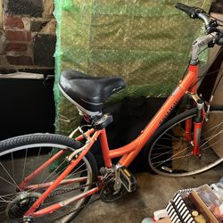 Raleigh Passage 3.0 Orange Size Aluminum Hybrid Bike