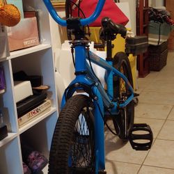 20 Inch Bmx Bike