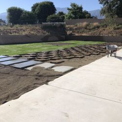 Installation Of Sod 