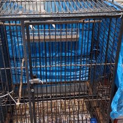 😁😁😁BIRD CAGE JAULA😁😁