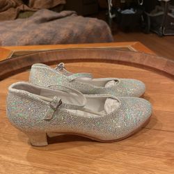 Women’s Silver Sparkle Shoes