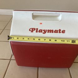 $15 Cooler Igloo Picnic Party Playmate Beach Ice Chest