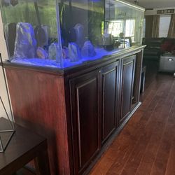 210 Gallon Fish tank 