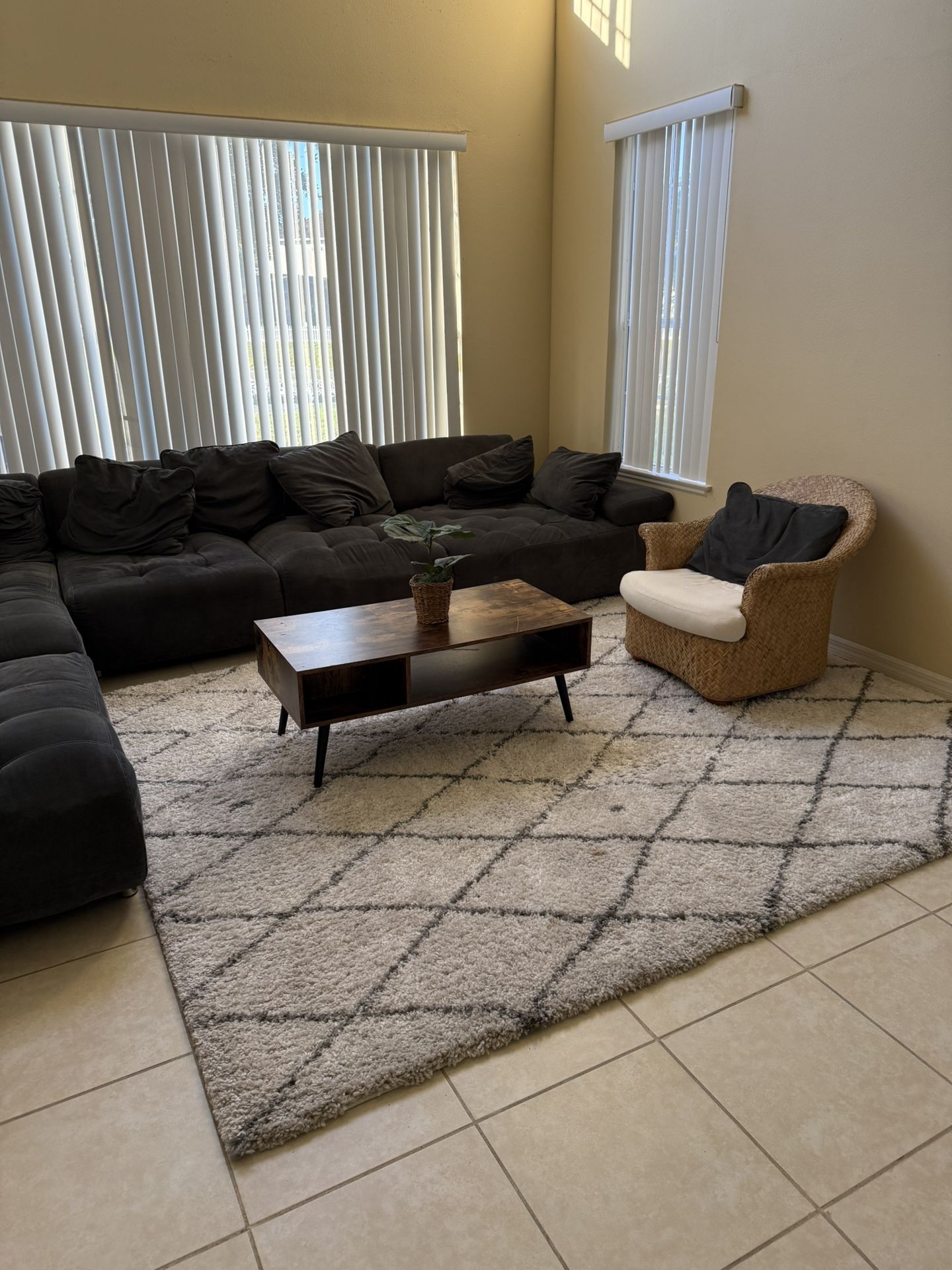 Large Couch, Carpet And Chair