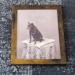 Vintage Cute Rottweiler Dog Picture Framed 8.5" x 11"