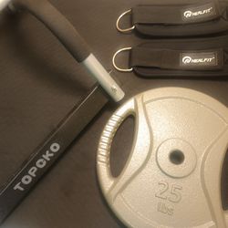 25 lb Weight Plate w/ Curl Bar