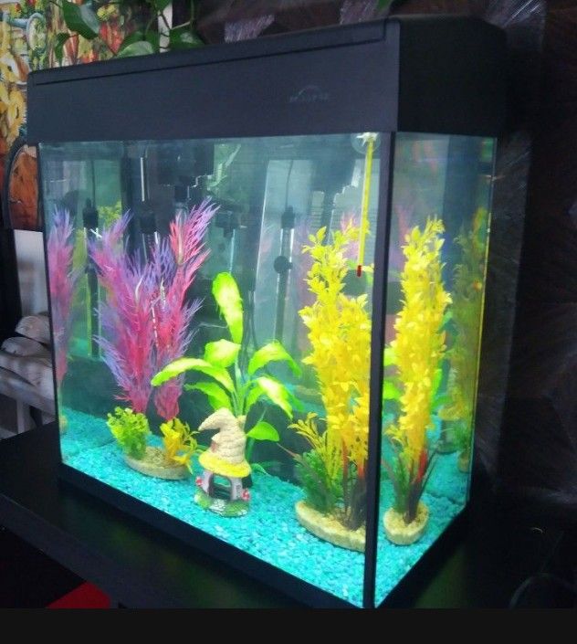 Complete Aquarium with Eclipse 3 filtration and lighting system. Pecera completa solo necesita peces