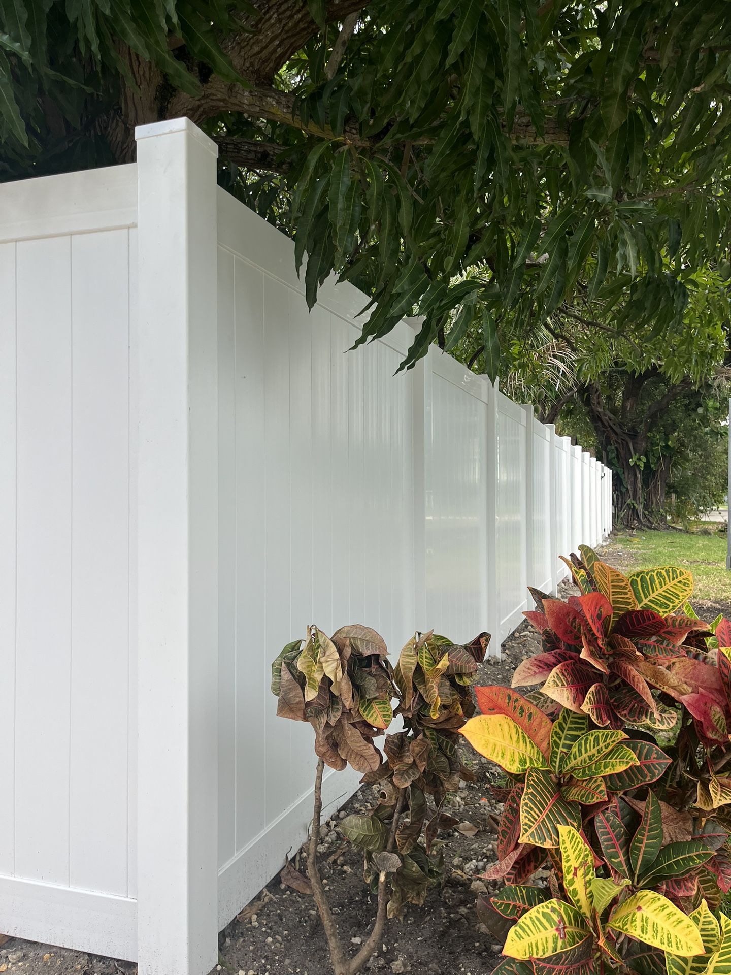 Pvc fence / Vinyl Fence