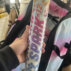 This item is a RIP-IT Spark youth softball bat,