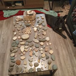 Pretty Amazing Rock Collection. Best Offer