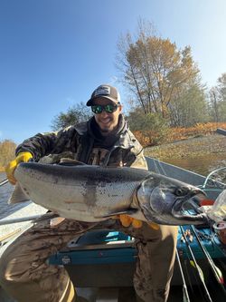 Guided fishing trips